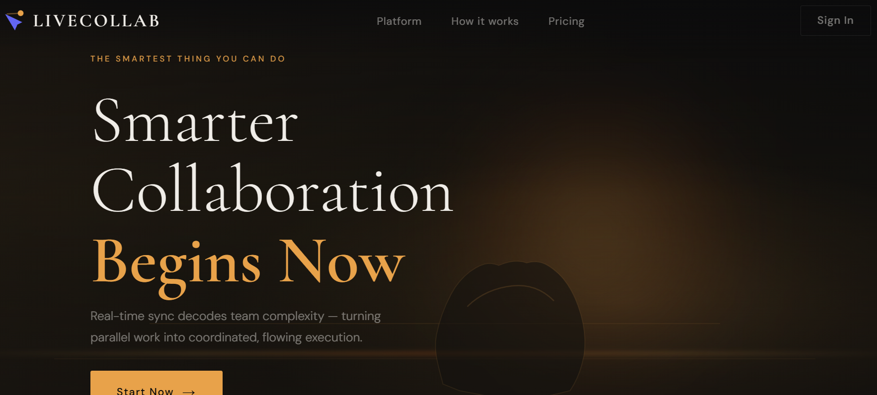LiveCollab project screenshot
